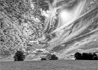 Steve Dorey - Graves Park Sky.jpg